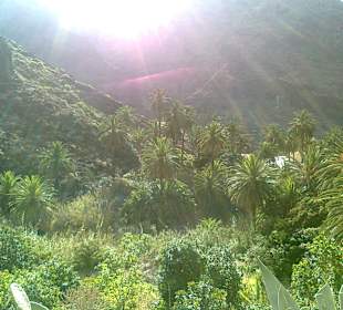 Valle Gran Rey - Schönes grünes Tal