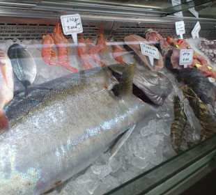 Arkadi Restaurant Fischvitrine