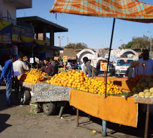 Obst im Januar 