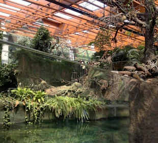 Część Afrykarium zwana Kongo