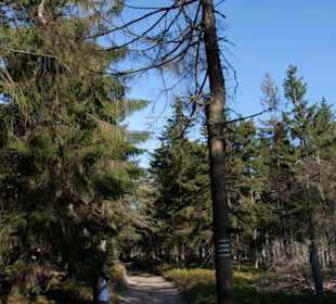 Droga na Baranią Górę