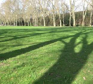 Unterer Schlossgarten Stuttgart