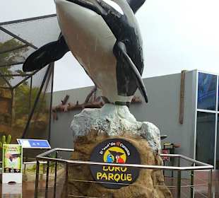 Ausflüge. Loro Park