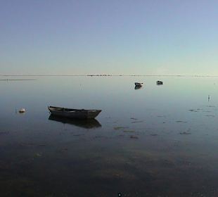 Angeln in der Ebromündung