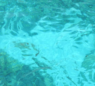 Zauberhafte Unterwasserwelt