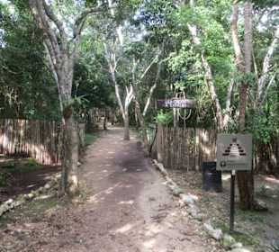 Ein Spaziergang auf dem Ruinen Gelände