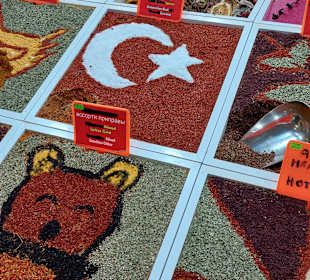 Basar