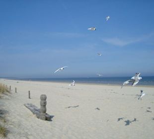 Strand Karlshagen