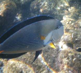 Wir freuen uns auf den nächsten Urlaub 