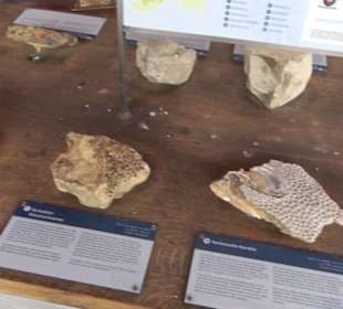 ALB-GOLD Naturgarten