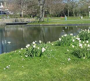 Frühling im Westfalenpark Dortmund