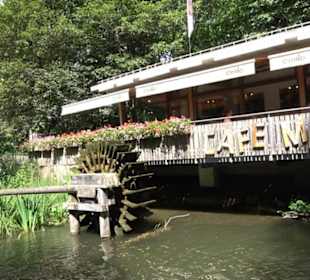 Tierpark Hellabrunn - Amerika