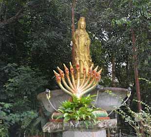 Drachen-Höhlen Tempel