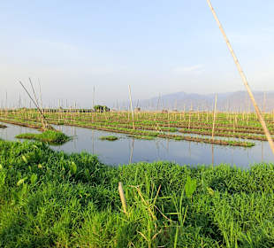 Die schwimmenden Gärten