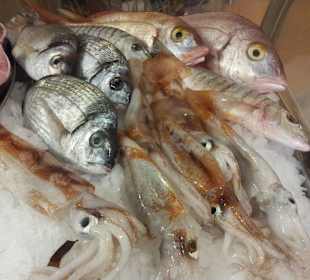 Pesce fresco saraghi e totani