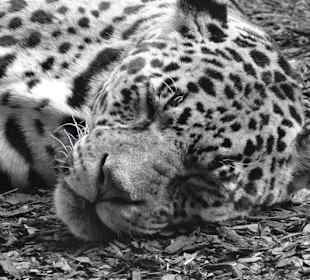 Rundgang im Tierpark