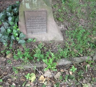 Stadtgarten Heidelberg