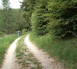Waldlehrpfad in Tieringen