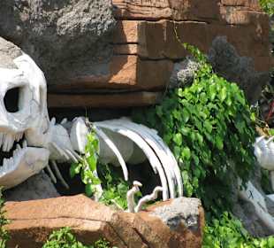 В зоопарке Бали