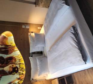 Zimmer Hotel Cocoon Hauptbahnhof