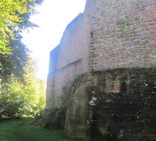 Die Madenburg