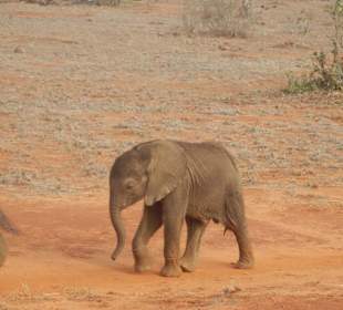 Der kleine ist keine drei Tage alt 