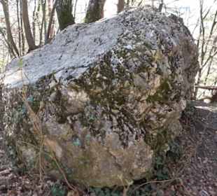 Remmselesstein