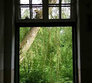 Szpital Psychiatryczny Zofiówka