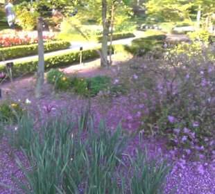 Real Jardín Botánico de Madrid