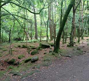 Killarney National Park