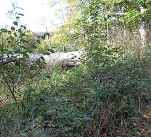 Wandertour "Rund um den Rossberg" Öschingen