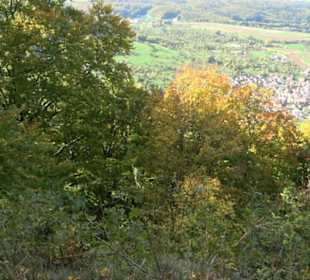 Aussichtspunkt Grüner Fels