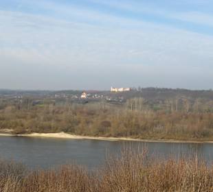 Widok na zamek w Janowcu