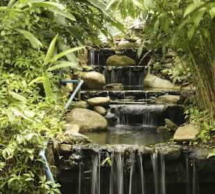 Khao Phra Thaeo Nationalpark