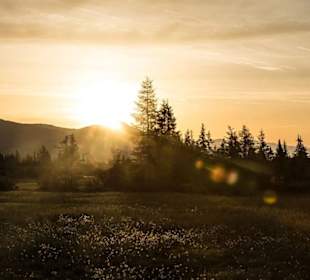 Wandern Königsleiten