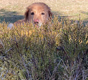 Rundwanderweg Baiersbronn