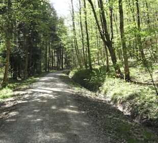 Wanderweg Hochgehwachsen