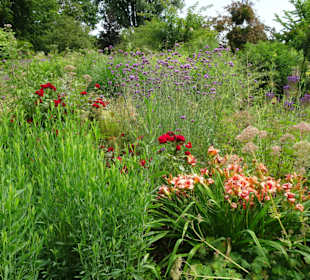 Eindrücke aus dem Botanischen Garten Düsseldorf