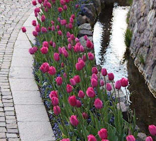 Schloss Trautmannsdorf b. Meran