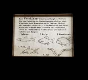 Exotarium