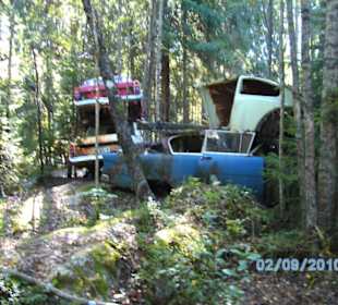 Autofriedhof am Foxen