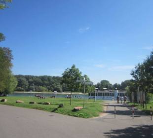 Am Rhein bei Germersheim