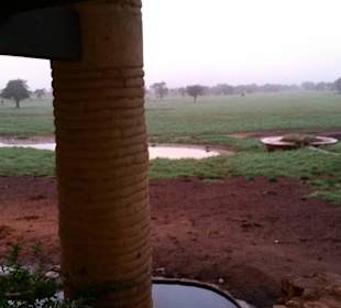 Sarova Salt Lick Game Lodge