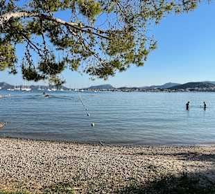 Strände Puerto de Pollensa