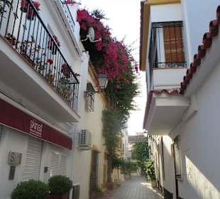Jede Gasse ist eine Augenweide
