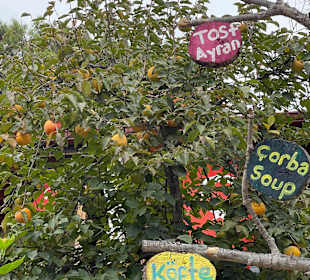 Wandern Göynük bei Kemer