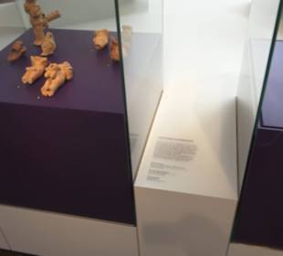 Rheinisches Landesmuseum 