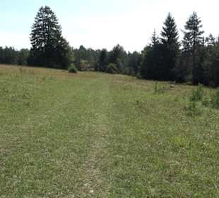Premiumwanderweg "hochgesprudelt"