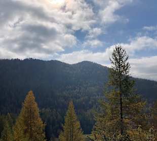 Wandern Turracher Höhe