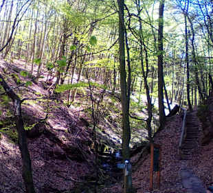 Naturdenkmal Elendsklamm in Landstuhl